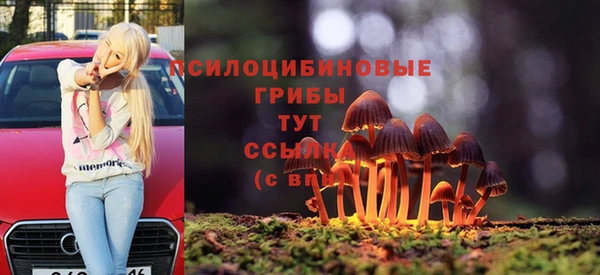 mdpv Алзамай